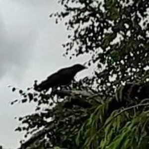 Meet your Posher, Jim